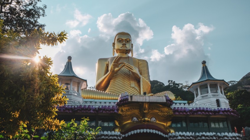 The Thousand Statues of Buddha